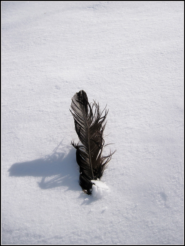 Черно-белая философия