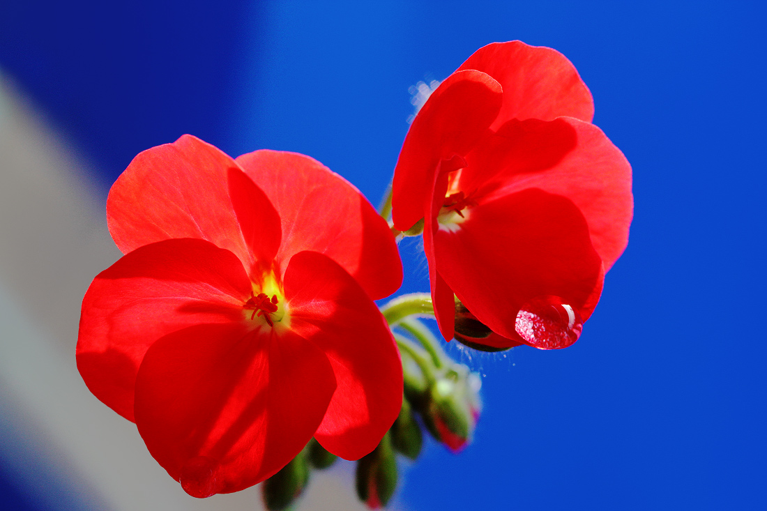 Музыка цвета