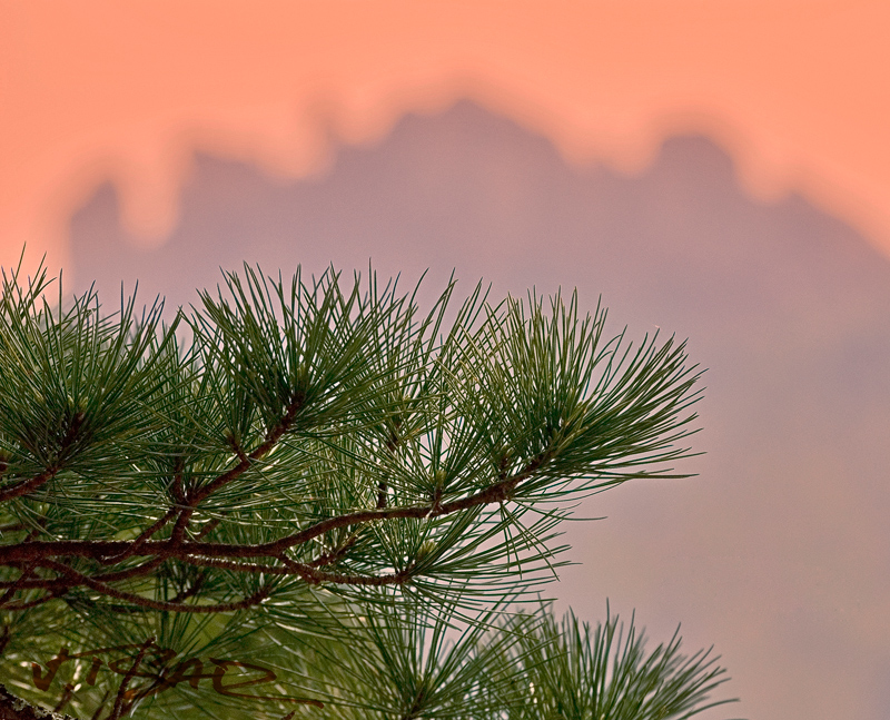 Чистоводное