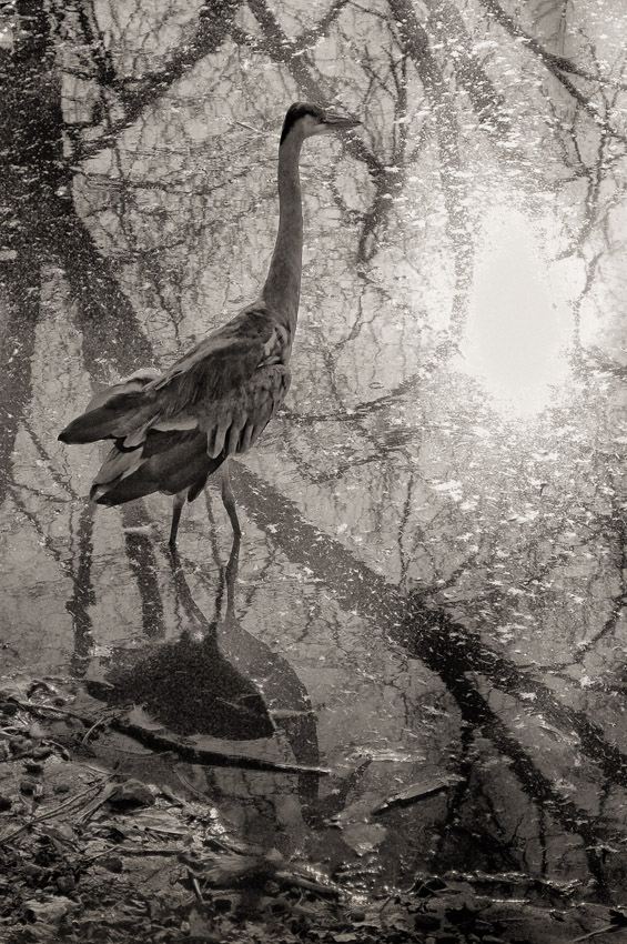 ожидание - как образ жизни