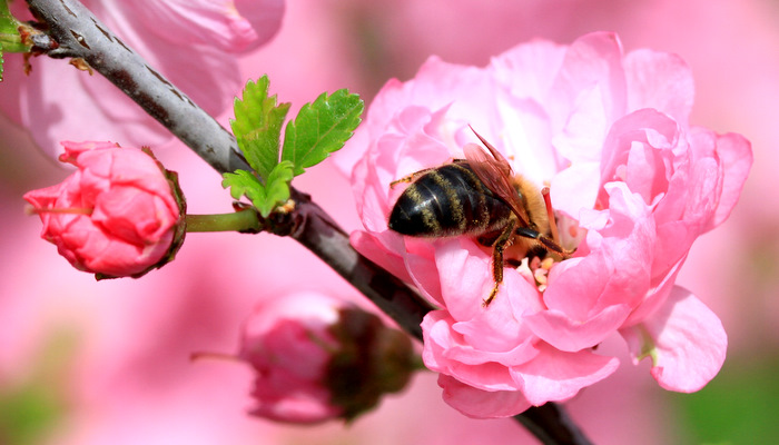 весна однако...