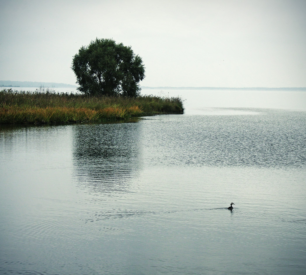 Оглянись, ведь не один ты...