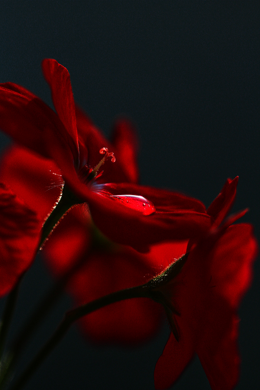 Когда кончается день