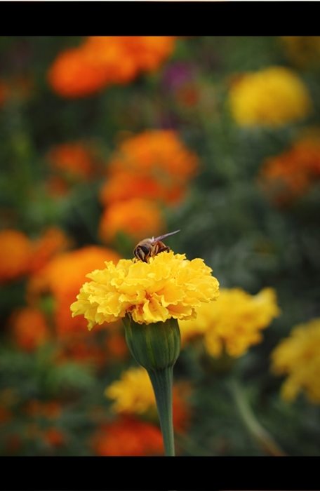 Сейчас передохну... и воон то поле обработаю!