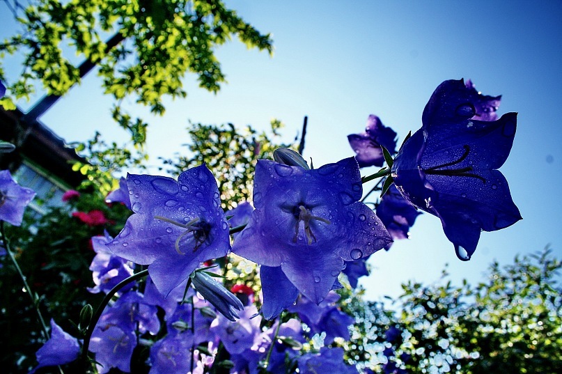 На даче всё иначе