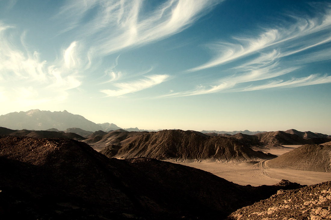 Там, где не растут деревья