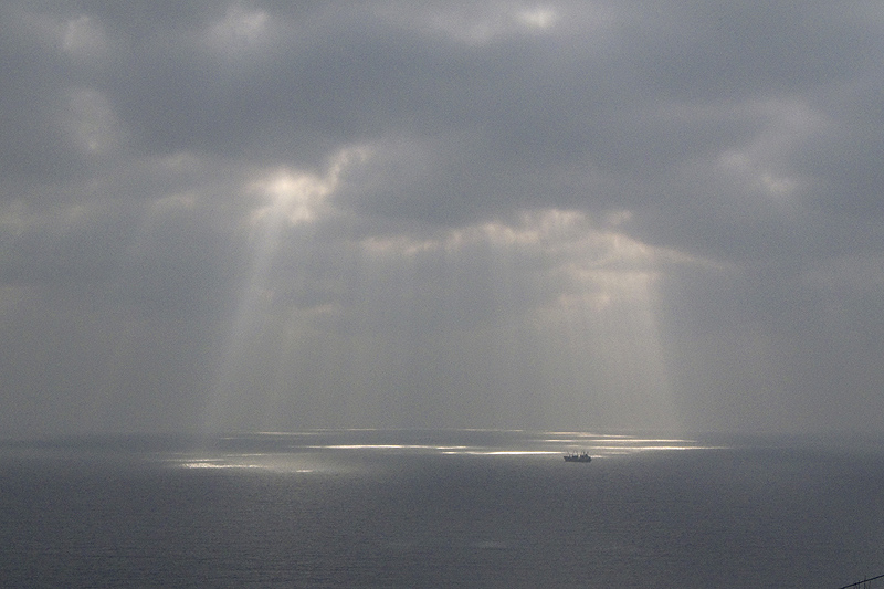 После дождя...