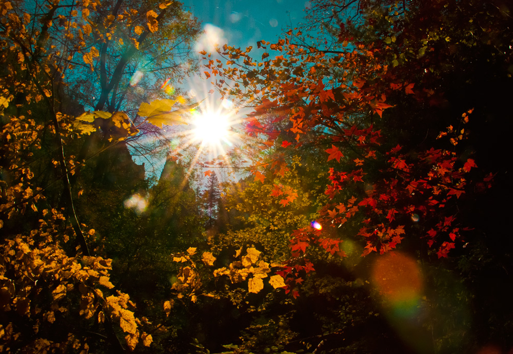 круговерть