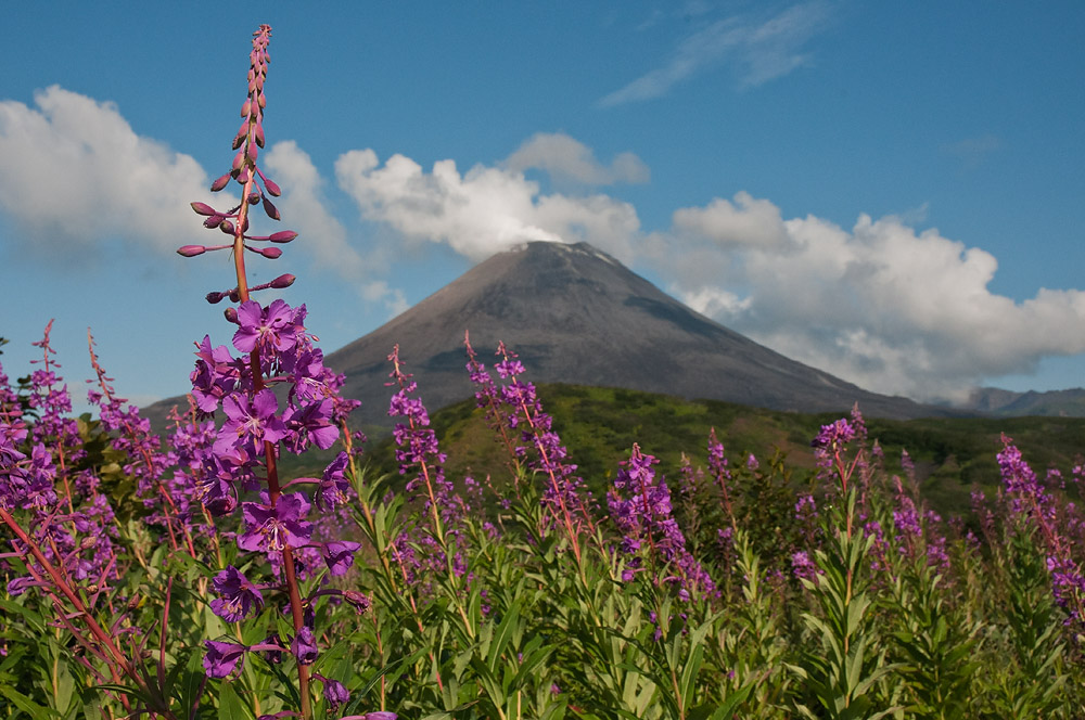 Летняя Карымская