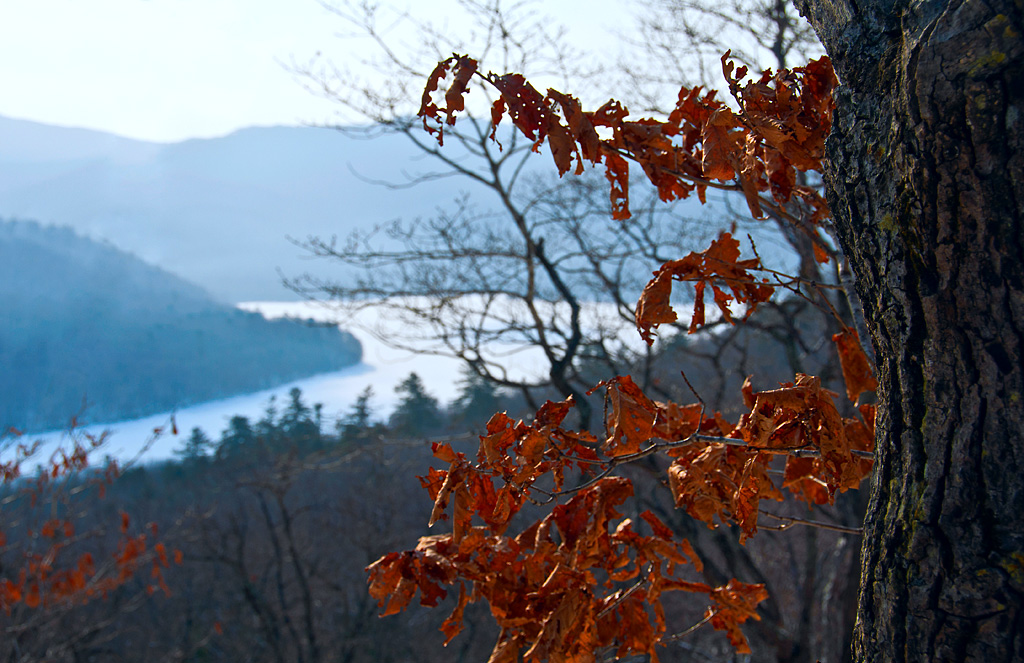 У излучины реки осень с зимушкой гуляли