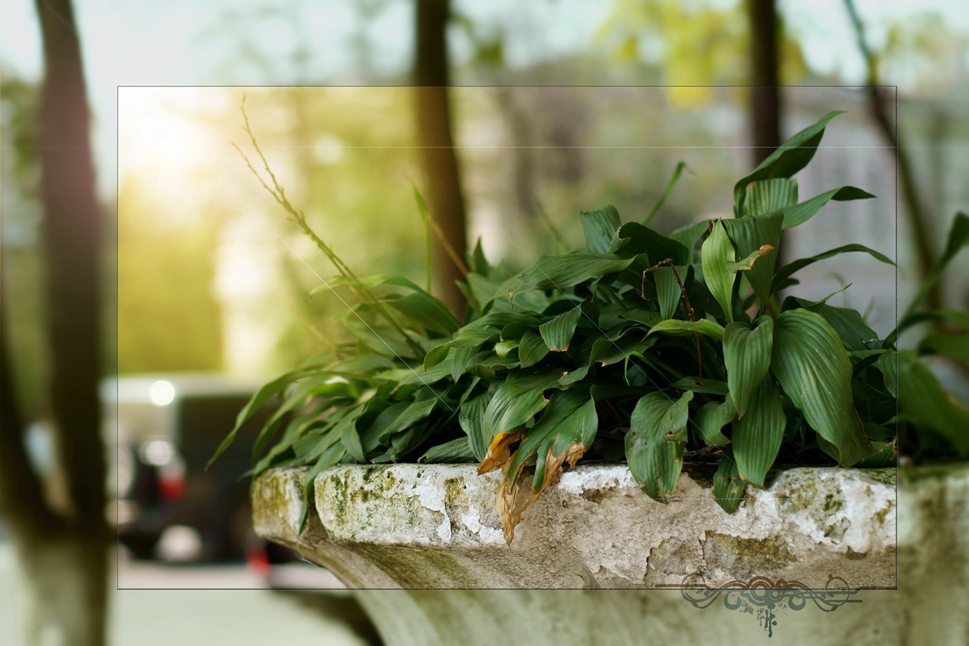 Солнечный день