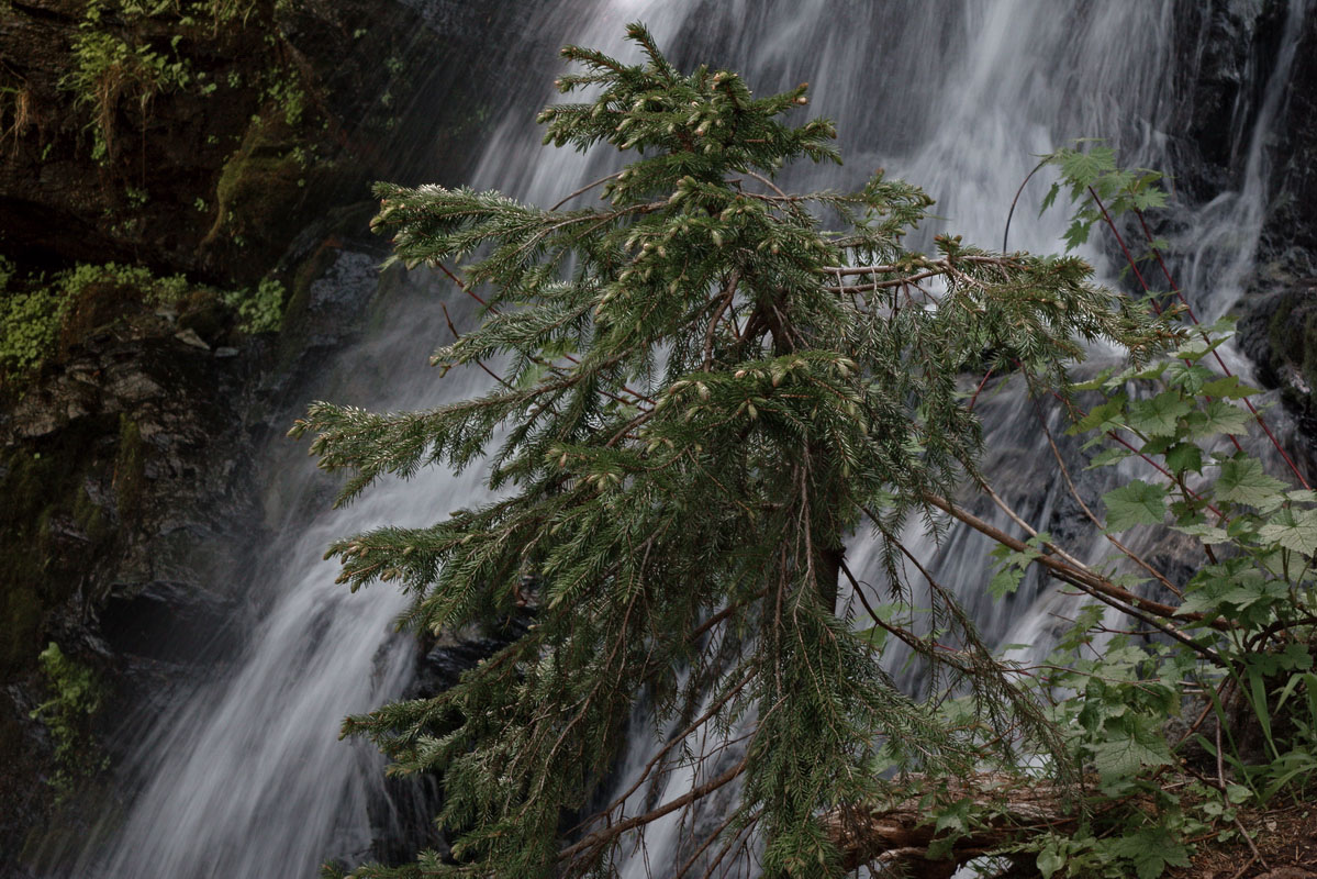 Сахалинские пейзажи
