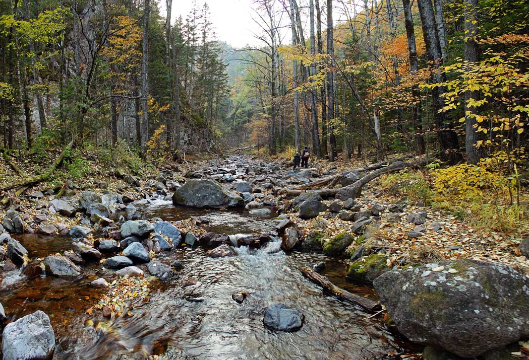 В верх по Амгу