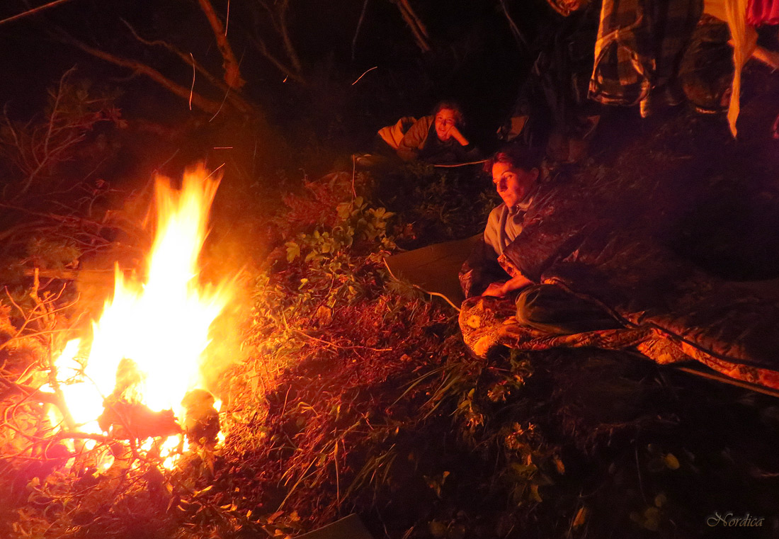 Ночь у костра