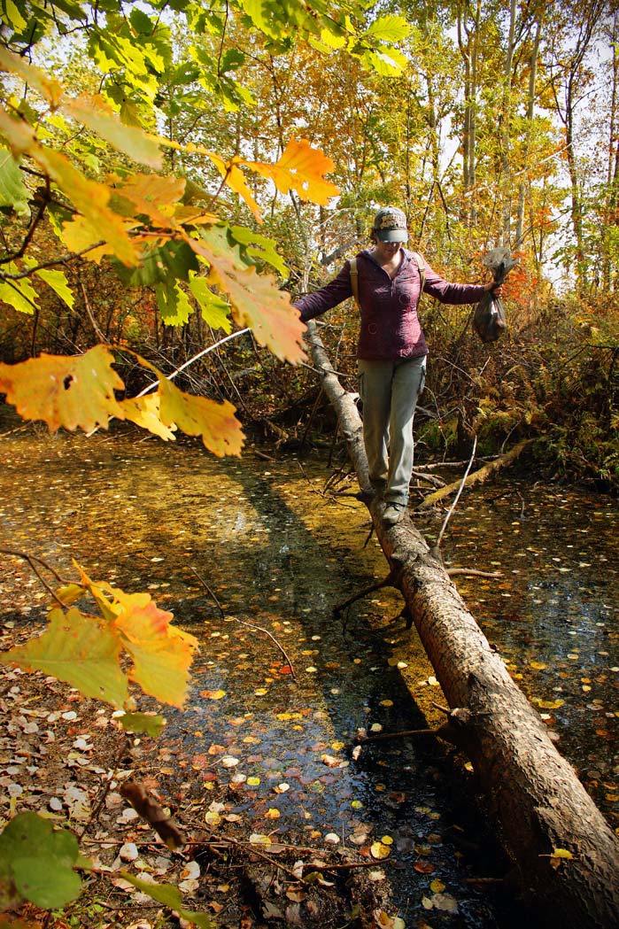 Чего не сделаешь грибной охоты ради