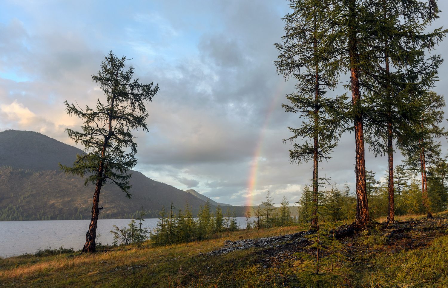 "северный рейд"