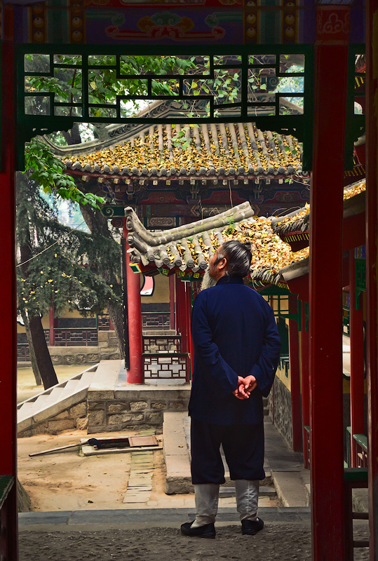 В раздумьях о вечном