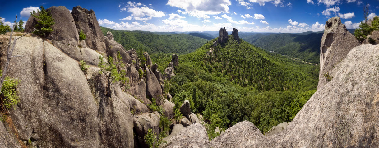 Панорама со спины Скалозавра