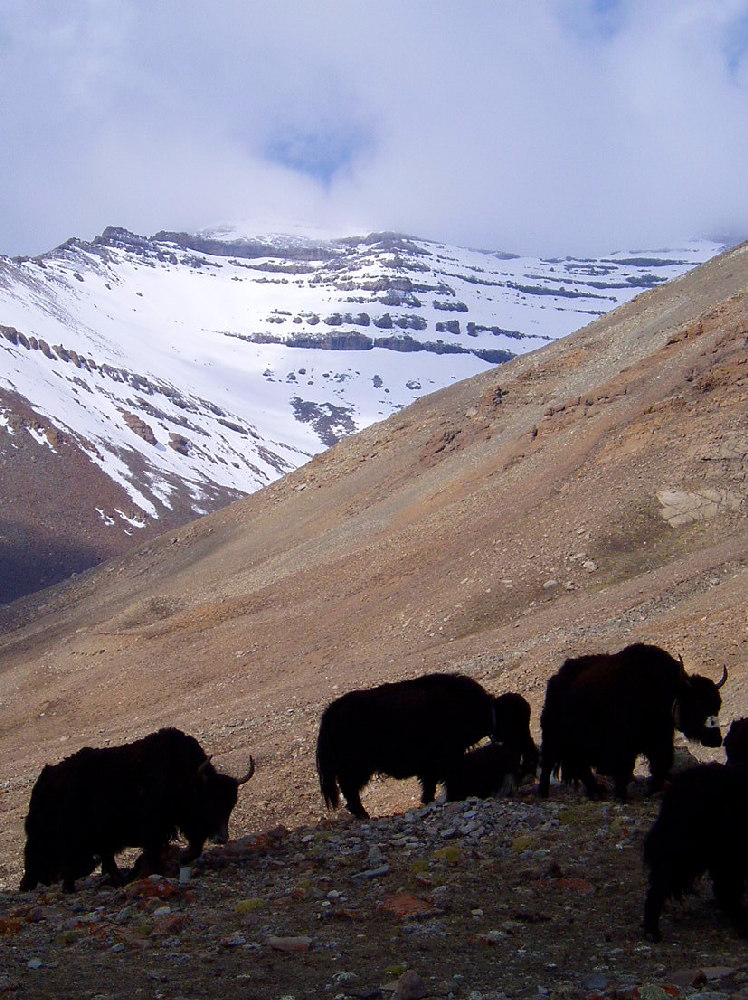 Затерянное королевство. Горная пустыня