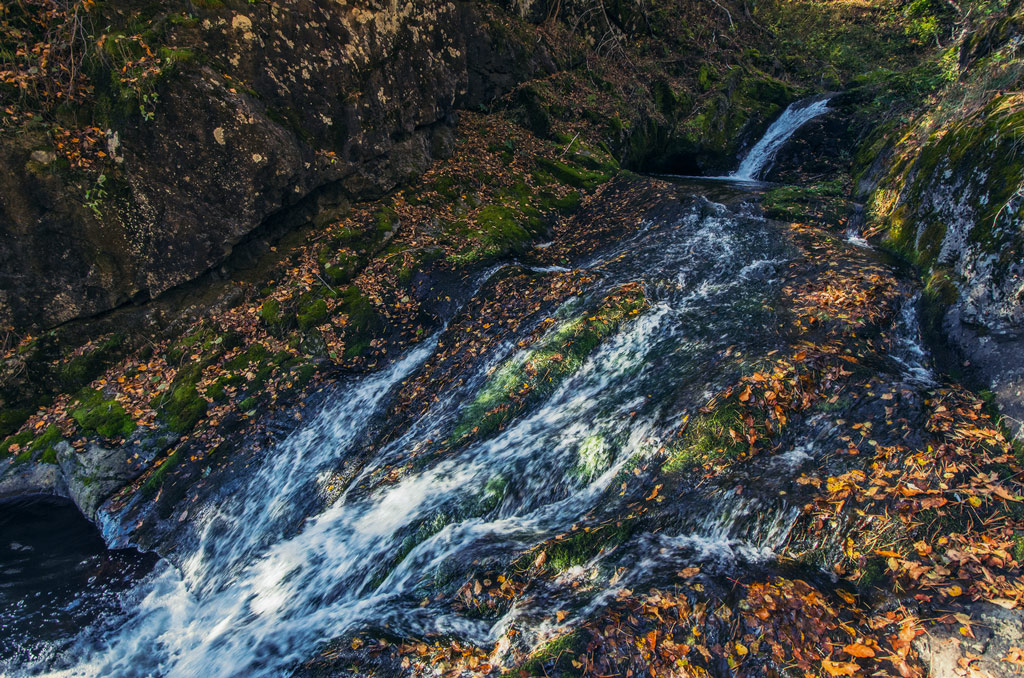 "Листопадный"