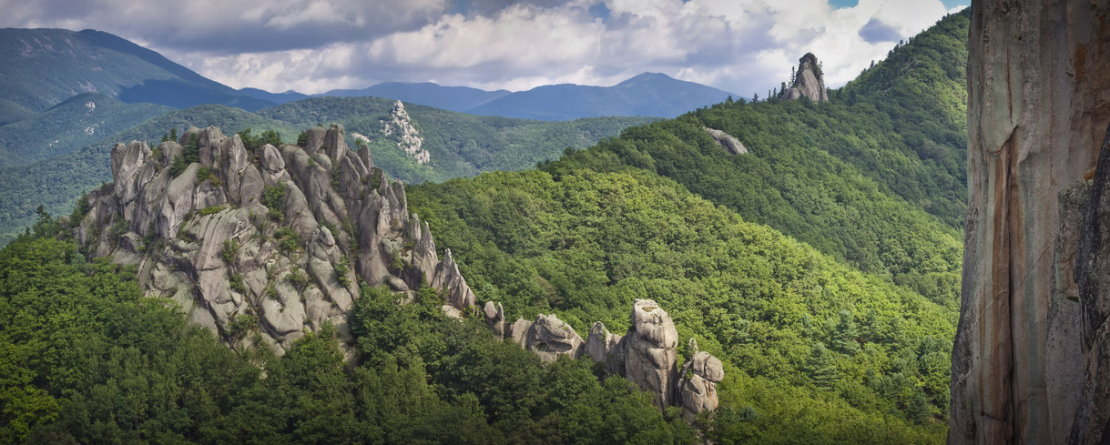 Скалозавр в зеленом море