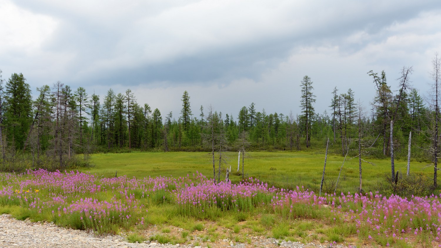 "северный рейд"