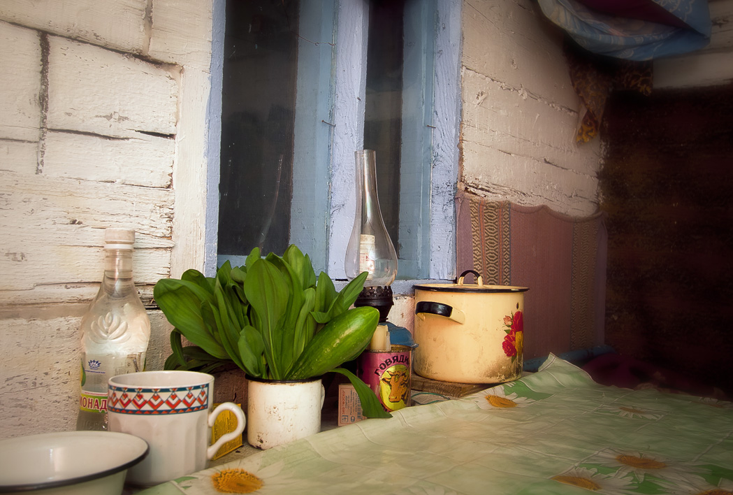 Таёжный натюрморт