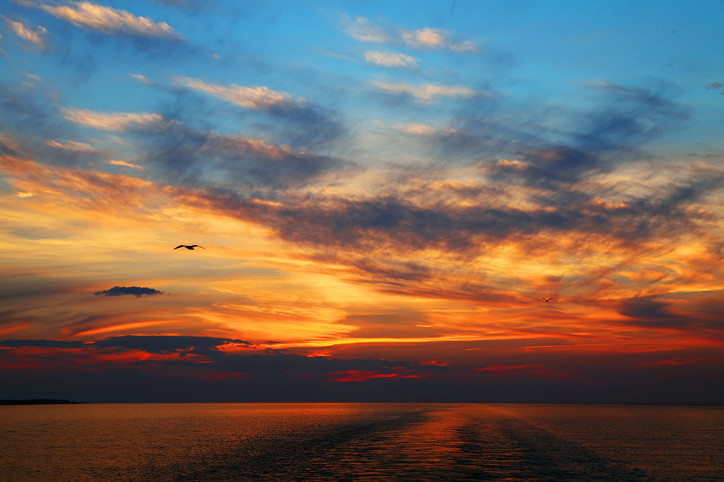 Почётный эскорт