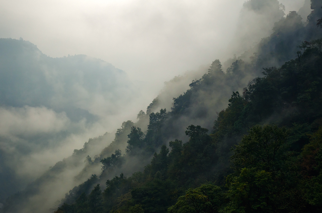 В стране туманов я был лишь гостем