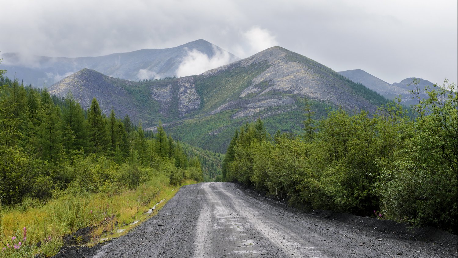 "северный рейд"