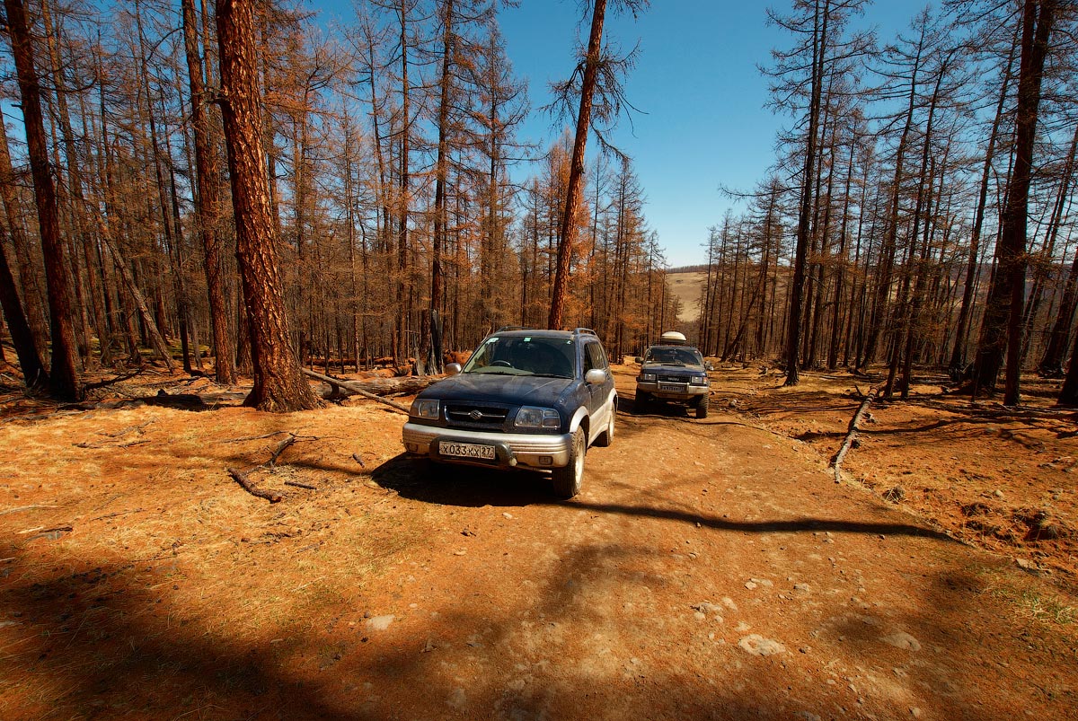 мы едем, едем, едем...