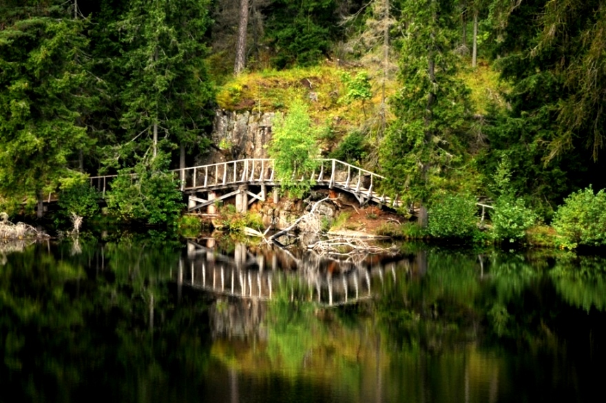 там на неведомых дорожках..(2)