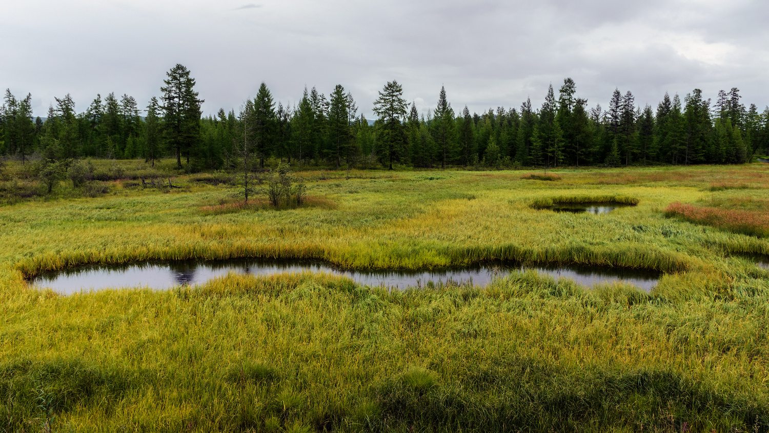"северный рейд"