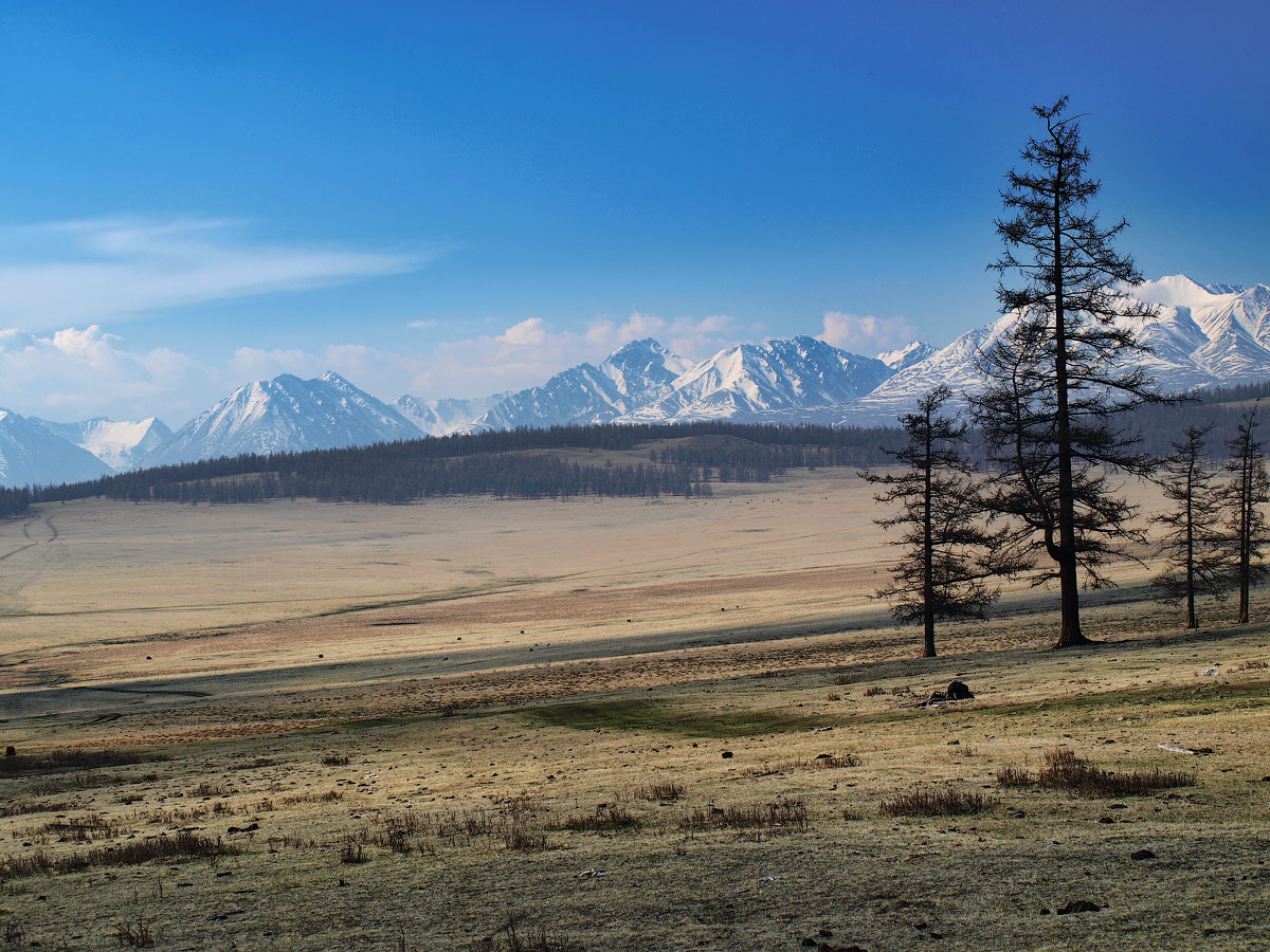 Мунку-Сардык= альпийский рельеф.