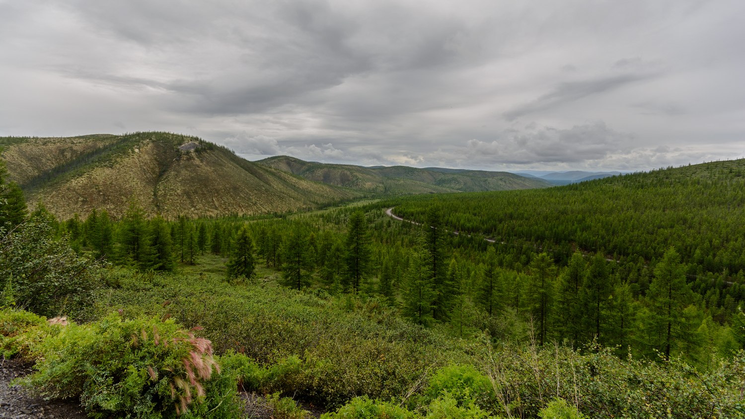 "северный рейд"