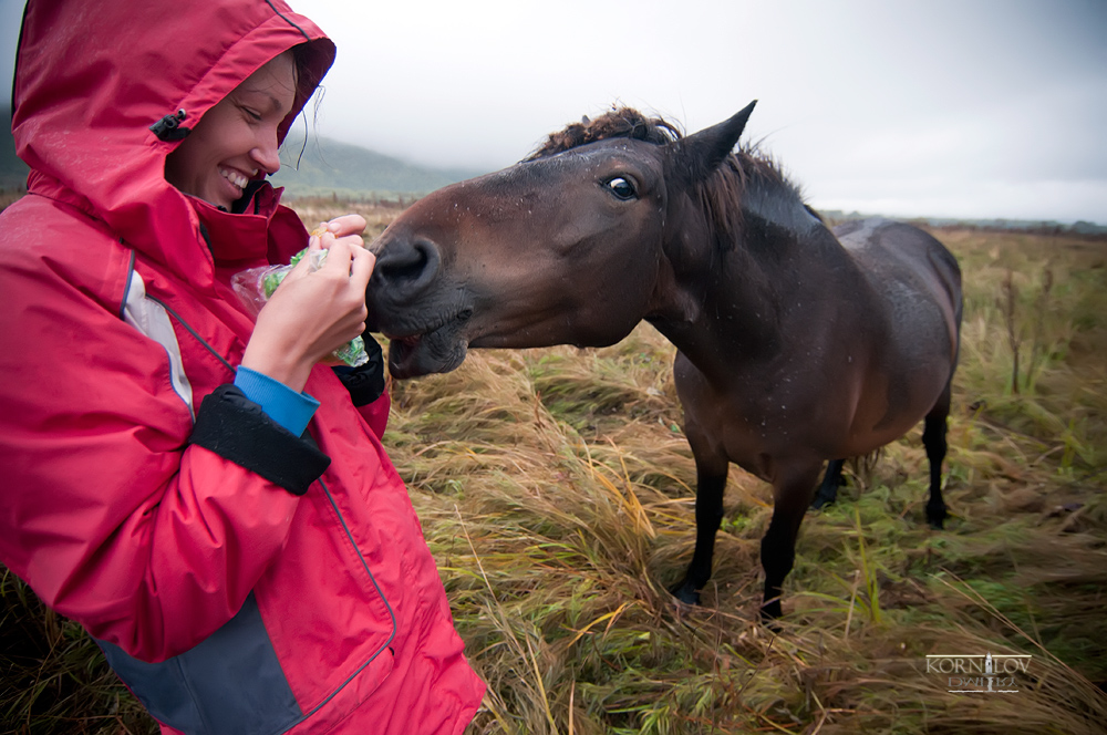 съешь ещё этих мягких...
