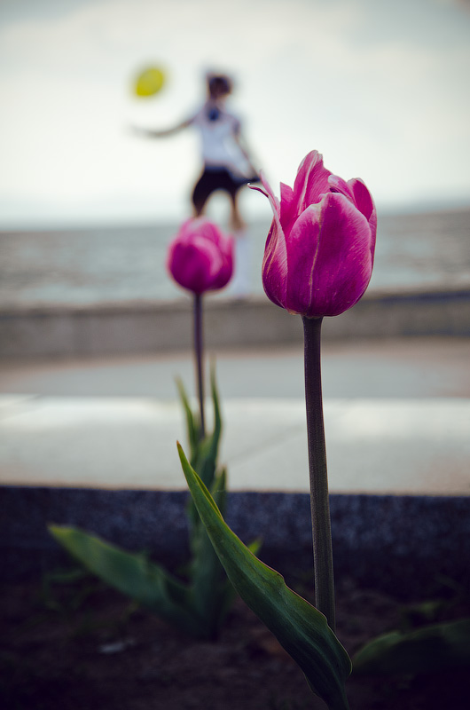 Праздник к нам приходит