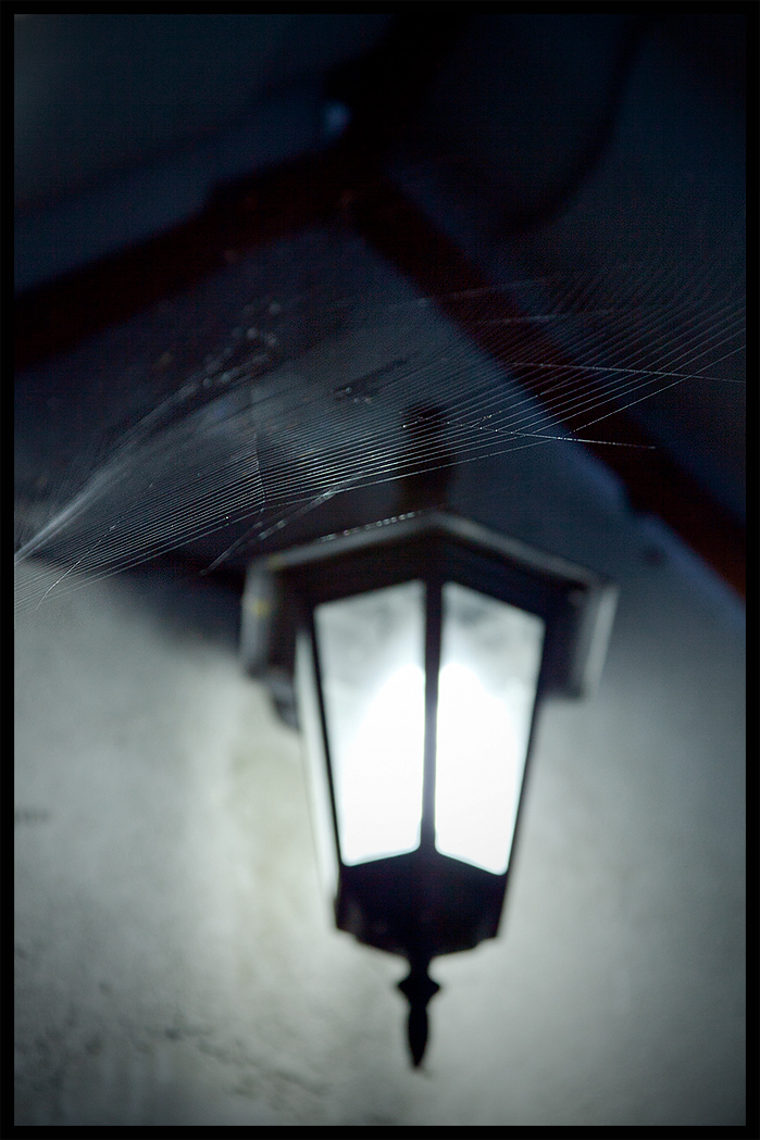 По Блоку : ночь, улица, фонарь... (паутина)