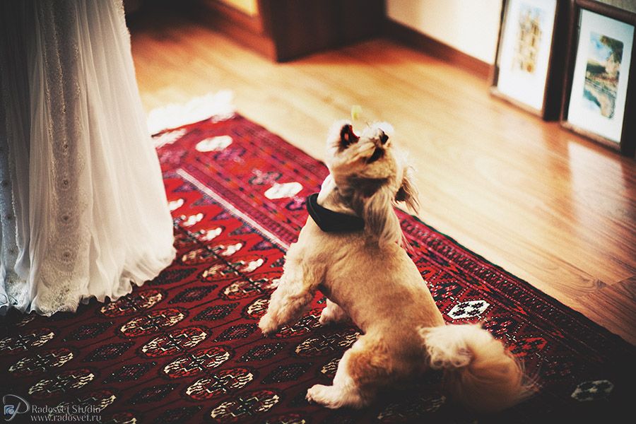 Утро невесты :)