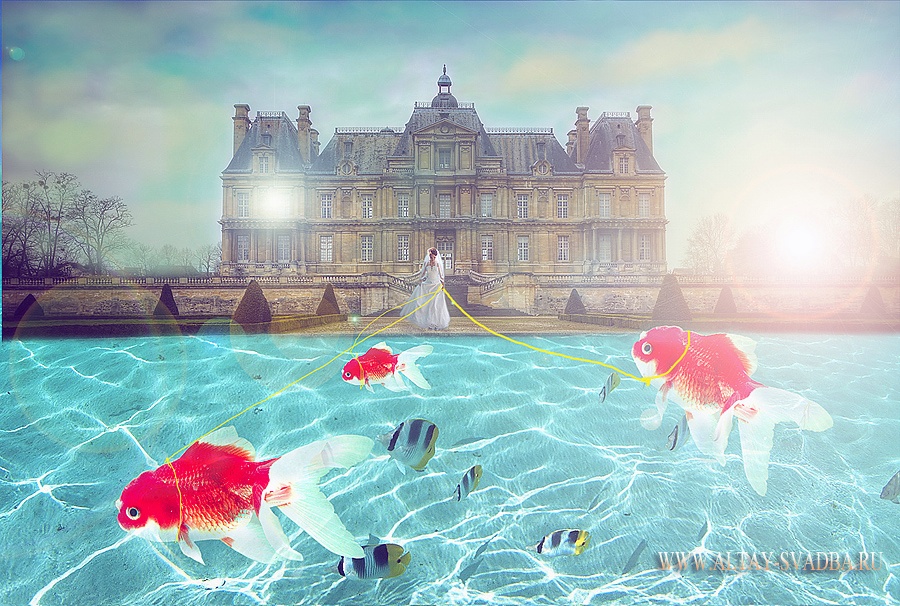 Мечты о розовых фламинго...