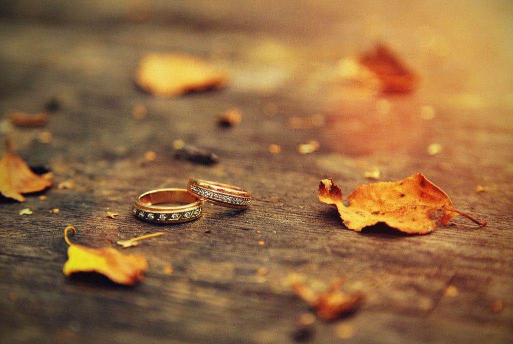 Золотая осень