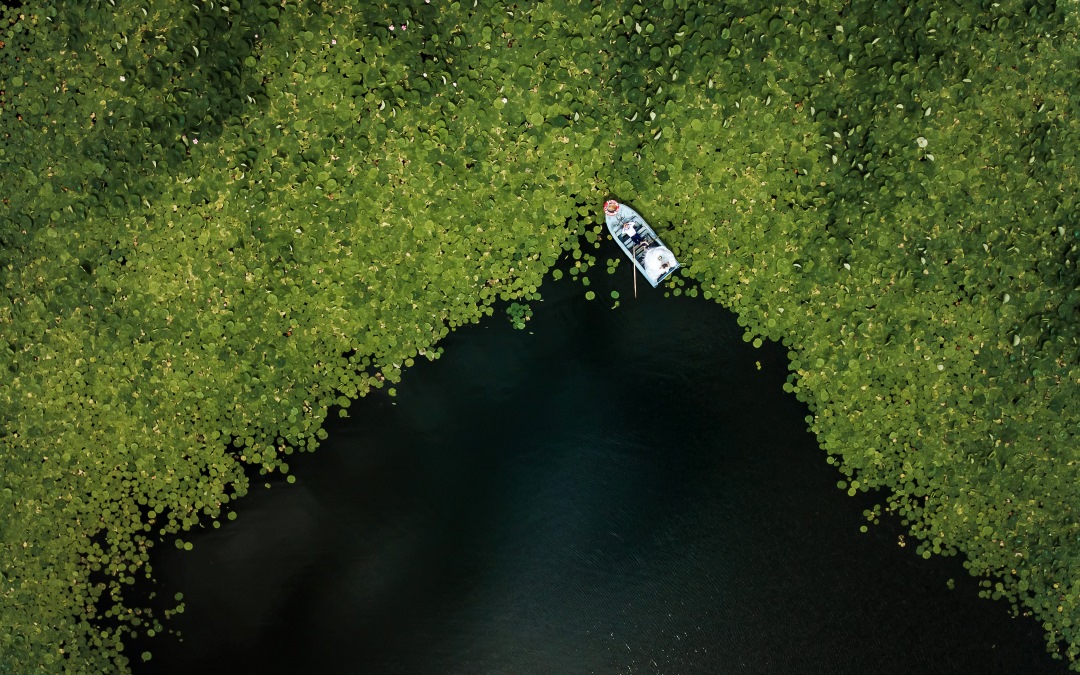 И пусть весь мир подождет!)