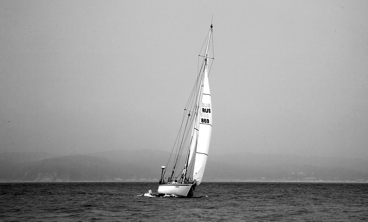 Стройный силуэт