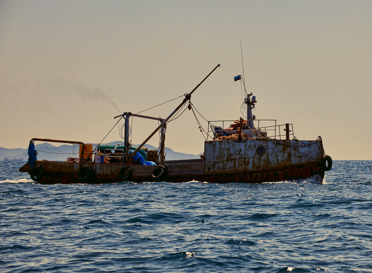 Шаланда полная кефали