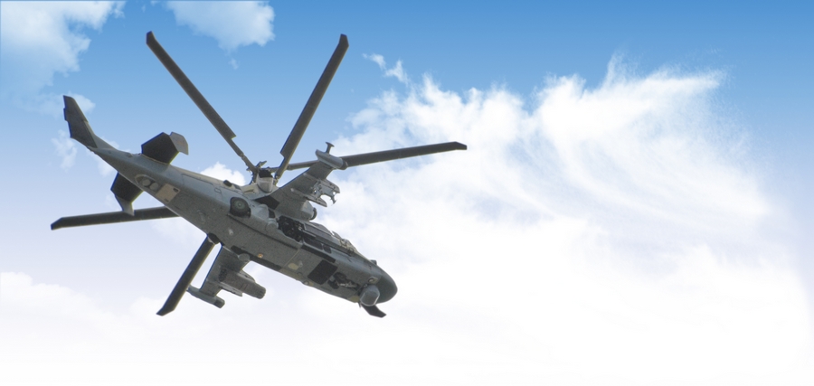 Крокодил тоже птица