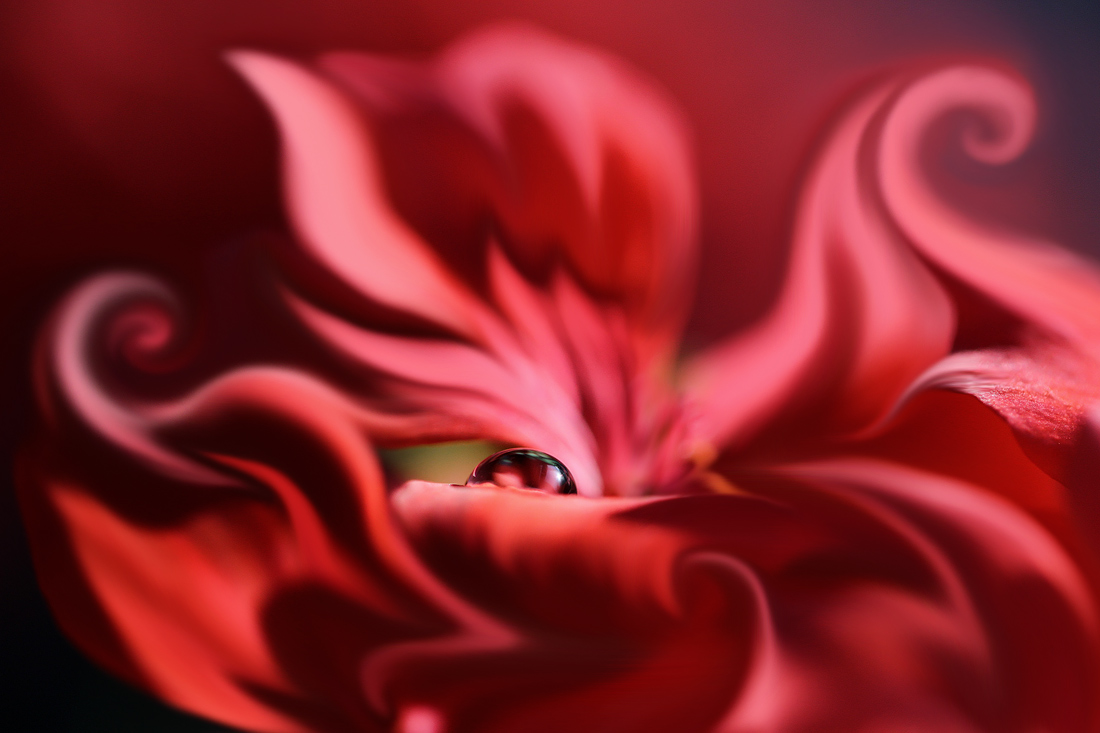 Цветочные фантазии