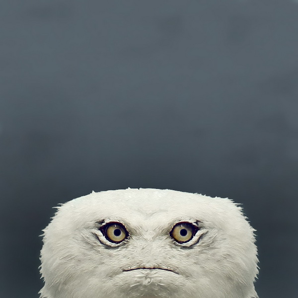 Суровое нечто