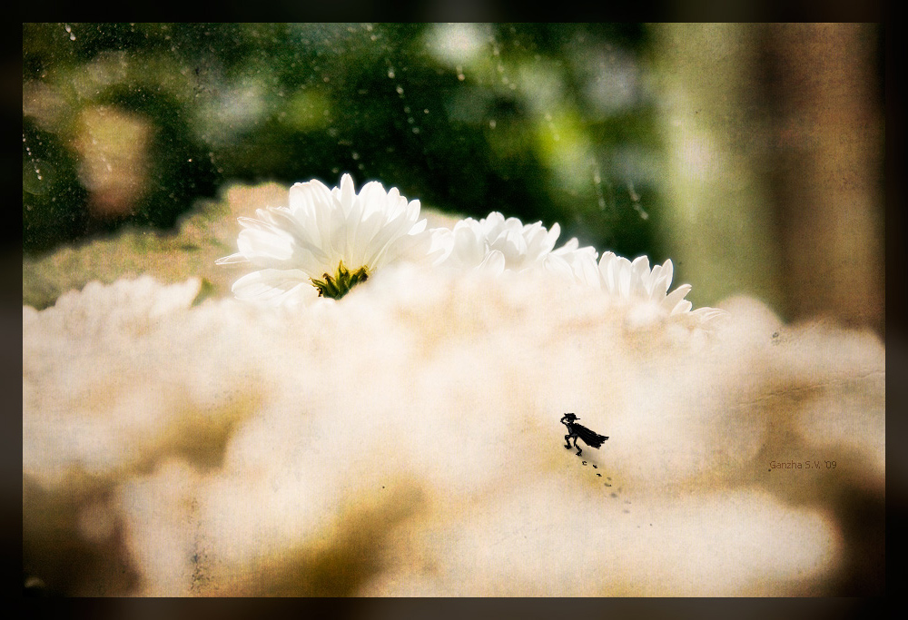 Когда тяжело, но очень надо...