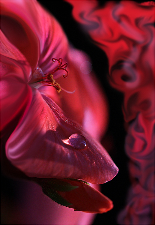 С Днём всех влюблённых!