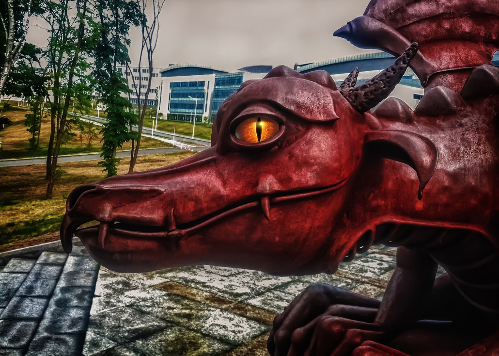 Я наблюдаю!